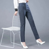 High Waist Formal Ankle Length Pants Women Casual Classic Slim Pantalones Korean Office Pencil Sweatpants Straight Suit Trousers Natalia Home Fashion   gray-XL-55-60kg Natalia Home Fashion