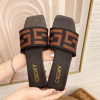 Women Flat Heels Slipper Outdoor Non-slip Casual Ladies Slides  Fashion Women Sandals Natalia Home Fashion    Natalia Home Fashion